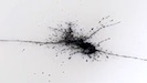 NanoTubesOrganize