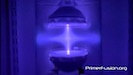 PrimerFusion